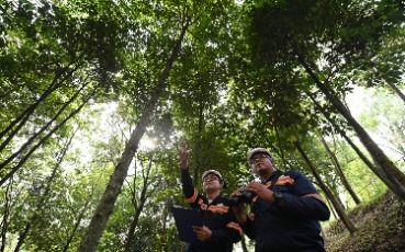 Capaian Positif ANTAM Pada Peringkat Kinerja Perusahaan Dalam Pengelolaan Lingkungan Hidup (PROPER) Tahun 2021-2022