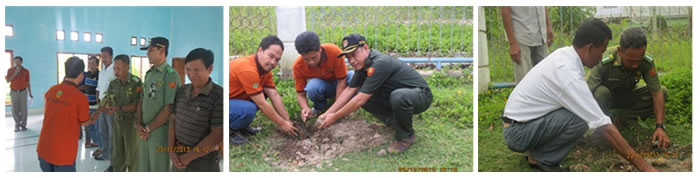 ANTAM Planted 13,000 Trees in 2013 at North Konawe Region